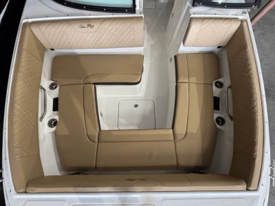 2025 Sea Ray SDX 270 - Photo 26