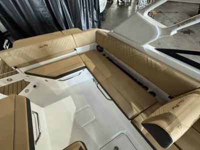 2025 Sea Ray SDX 270 - Photo 12