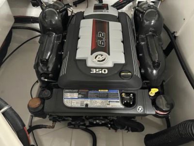 2025 Sea Ray SDX 270 - Photo 11