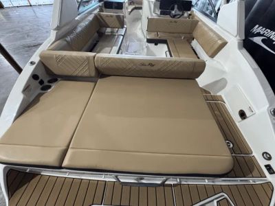 2025 Sea Ray SDX 270 - Photo 6