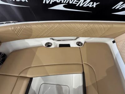 2025 Sea Ray SDX 270 - Photo 25
