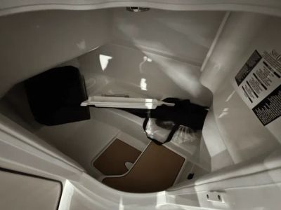 2025 Sea Ray SDX 270 - Photo 22