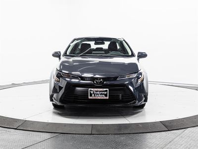 2024 Toyota Corolla - Photo 2