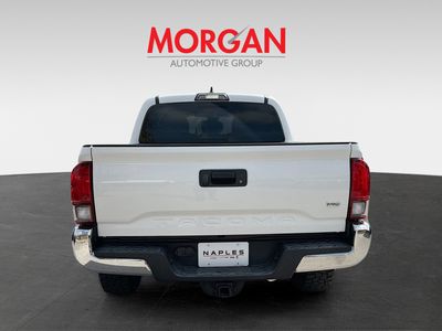 2019 Toyota Tacoma - Photo 5