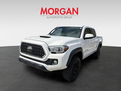 2019 Toyota Tacoma - Photo 8
