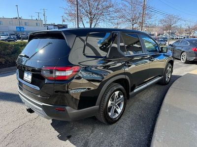 2025 Honda Pilot — photo 11 view