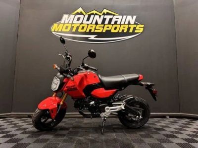 2026 Honda® Grom — front three-quarter view