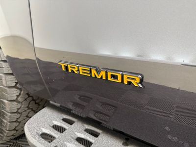 2025 Ford Expedition Tremor SUV V6 - Photo 7