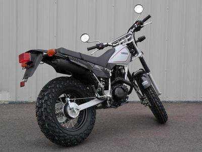 2026 Yamaha TW200 - Photo 2