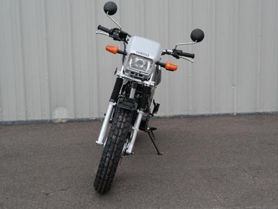 2026 Yamaha TW200 - Photo 7