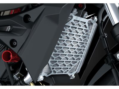 2026 Kawasaki Z500 SE ABS - Photo 8