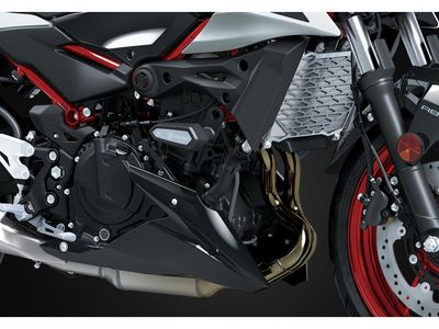 2026 Kawasaki Z500 SE ABS - Photo 4
