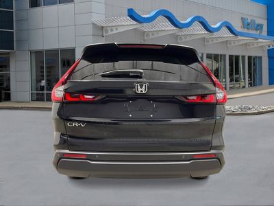 2026 Honda CR-V - Photo 4