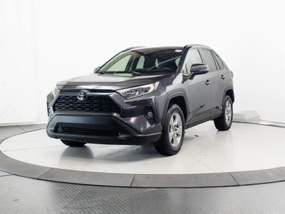 2019 Toyota RAV4 - Photo 3