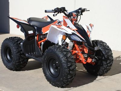 2026 Kayo EA110 - Photo 1