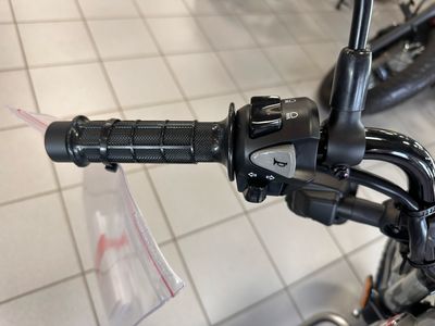 2025 Honda Trail125 - Photo 6
