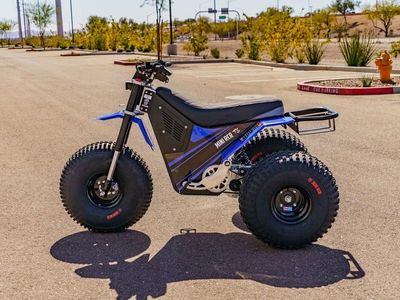 2026 MINI RCR T3 - Photo 6