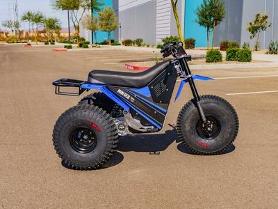 2026 MINI RCR T3 - Photo 3