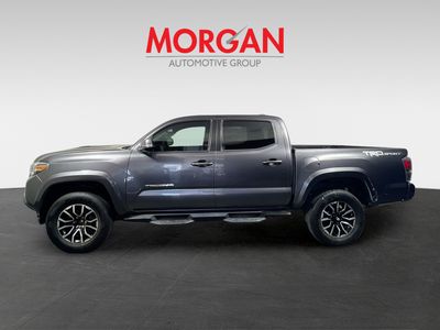 2021 Toyota Tacoma - Photo 4