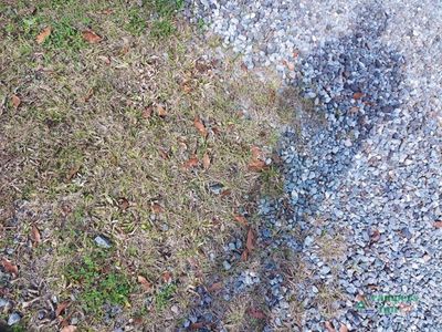 2026 Forest River Grand Surveyor — photo 42 view