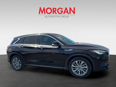 2023 INFINITI QX50 - Photo 2