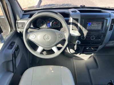 2019 Dynamax ISATA 3 — side profile view