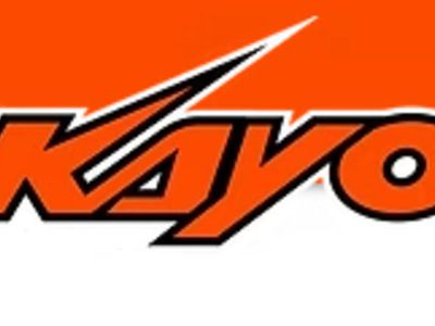 2026 Kayo PREDATOR 125 EFI - Photo 21