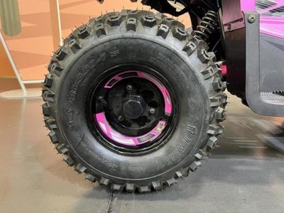 2026 Denago Powersports E-Hawk 6 - Photo 13