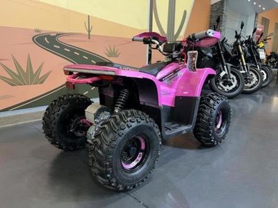 2026 Denago Powersports E-Hawk 6 - Photo 5
