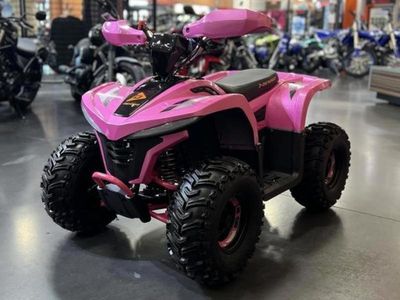 2026 Denago Powersports E-Hawk 6 - Photo 2