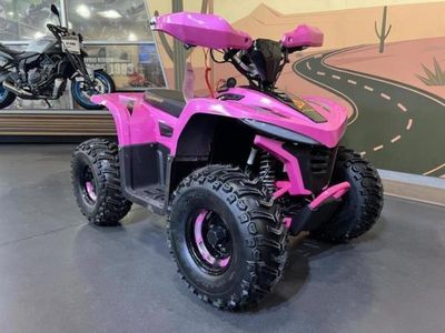 2026 Denago Powersports E-Hawk 6 - Photo 1