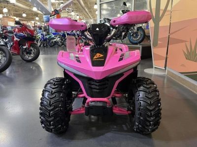2026 Denago Powersports E-Hawk 6 - Photo 3
