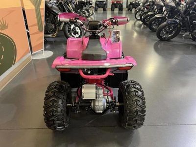 2026 Denago Powersports E-Hawk 6 - Photo 6