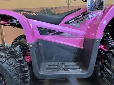 2026 Denago Powersports E-Hawk 6 - Photo 9