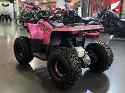 2026 Denago Powersports E-Hawk 6 - Photo 4
