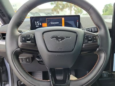2022 Ford Mustang Mach-E - Photo 17