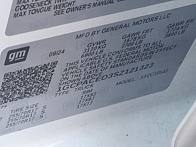2025 Chevrolet Silverado 1500 — photo 20 view