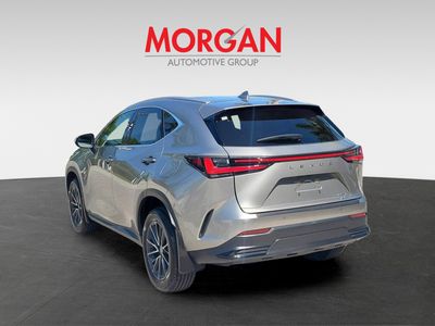 2024 Lexus NX - Photo 3
