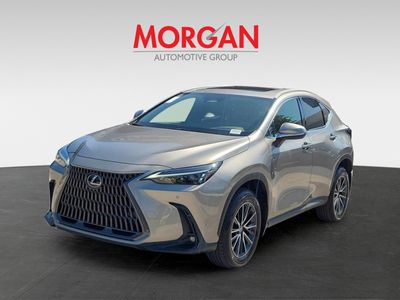 2024 Lexus NX - Photo 2