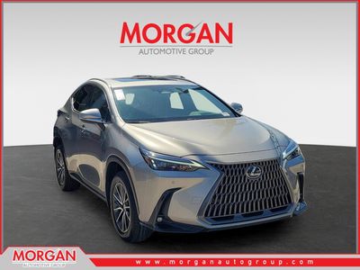 2024 Lexus NX - Photo 1
