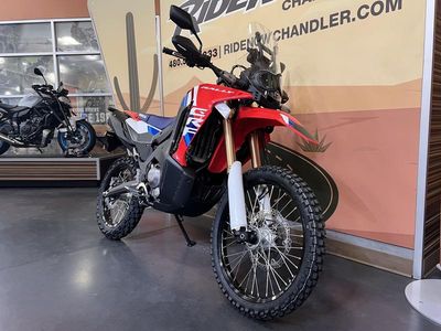 2025 Honda CRF300L Rally ABS - Photo 1