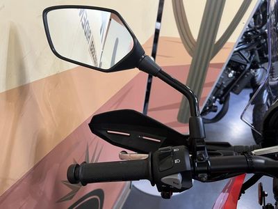 2025 Honda CRF300L Rally ABS - Photo 8
