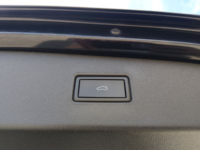 2024 Volkswagen Tiguan — photo 19 view