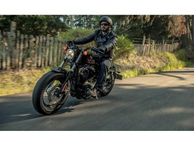2013 Harley-Davidson Sportster Forty-Eight - Photo 5