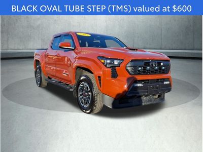 2025 Toyota Tacoma - Photo 4