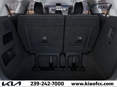2026 Kia Carnival — photo 19 view