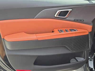 2026 Kia Carnival Hybrid — photo 21 view