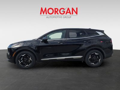 2026 Kia Sportage — detail view