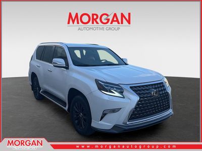 2023 Lexus GX 460 Premium in White Pearl — front three-quarter view