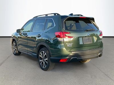 2024 Subaru Forester — detail view
